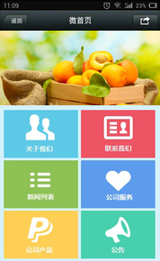 微站17